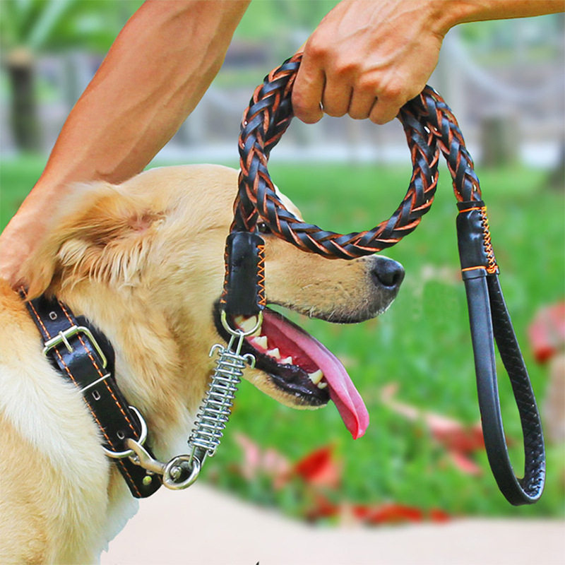 狗绳狗链子大型犬金毛中型犬牵引绳耐咬大型萨摩脖圈狗绳宠物用品