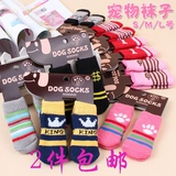 Собаки и собачьи носки против песен