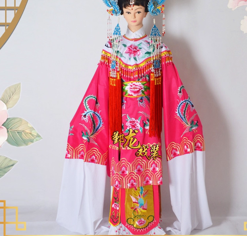 越剧黄梅戏贵妃打金枝公主风蟒袍