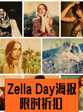 Zella Day 泽拉黛 音乐女歌手 壁纸 墙贴 装饰画 海报 照片 挂画