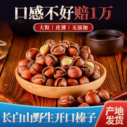 长白山开口榛子榛子长白山