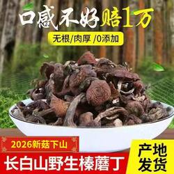 东北长白山野生榛蘑丁500g 干货小鸡炖香菇头 特级新货无根臻蘑