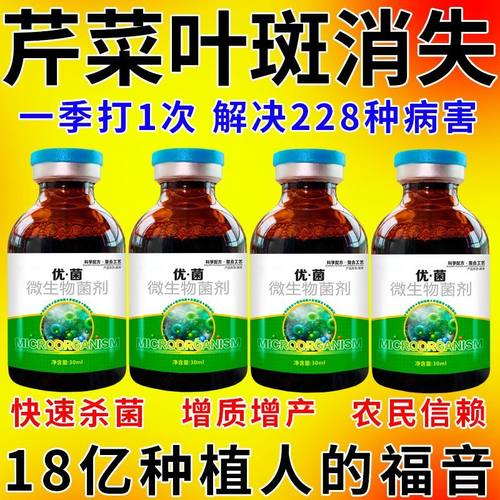 芹菜病全治专用药病毒病叶斑病菌核病软腐病芹菜病全管微生物菌剂