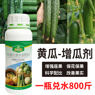 黄瓜西红柿柑橘桃树保花保果均衡营养增产增收健壮植株果大果甜