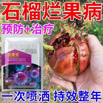 石榴干腐病青霉病干枯病石榴病杀菌剂全治专用杀菌药全杀炭疽病