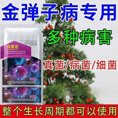 金弹子灰霉炭疽病白粉病金弹子杀菌剂促花挂果防黄叶黑斑病害专用