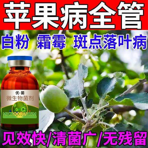 苹果树苦豆病苹果专用杀菌剂炭疽轮纹褐斑枝枯黑星白粉病腐烂病药