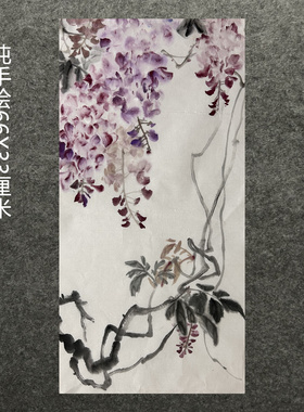 66X33厘米走廊装饰字画国画纯手绘花鸟四尺四开紫藤AC5032601-12