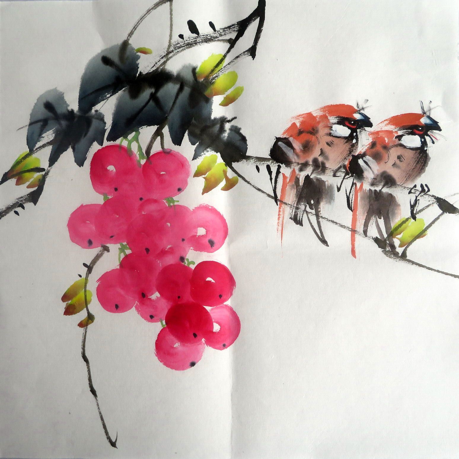 【8墨锦轩】特价国画仿赵少昂纯手绘花鸟画四尺八开葡萄小品41