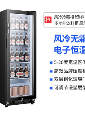 风冷无霜冰吧家用小型食品保鲜柜