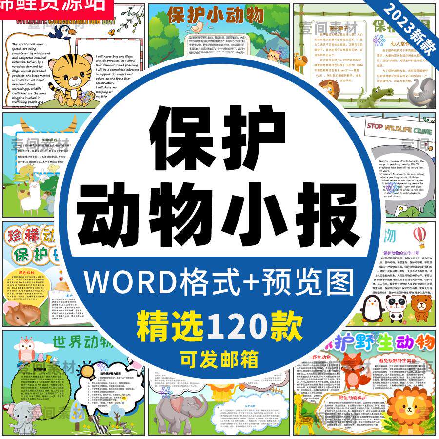 保护动物手抄报小学生爱护野生动物黑白线稿电子版小报模板a3a48k