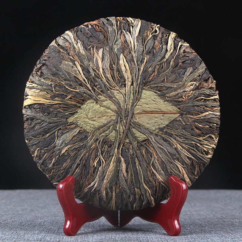 大雪山古问生茶普洱茶