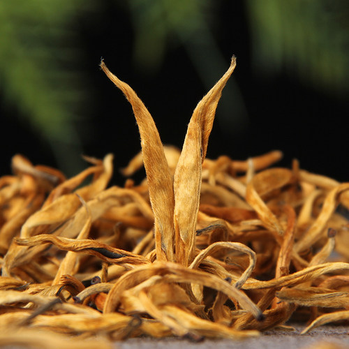 新茶云南糯香滇红茶蜜香古树金丝金芽红茶糯香大金芽金针浓香型