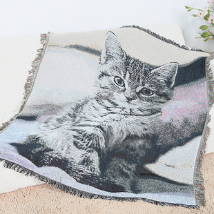 一无是处油画中古风小猫挂毯单人沙发盖毯功能沙发巾装饰布置毯子