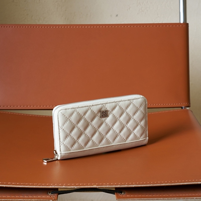 C1162DO5新款手拿包