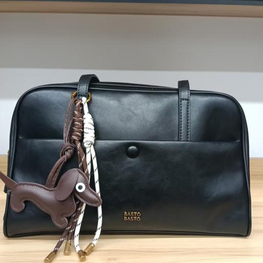 C1104CX5新款单肩包