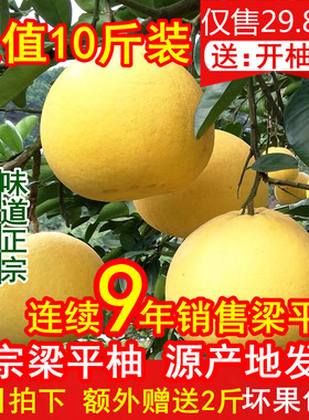 重庆特产梁平柚 梁山柚 麻柚子平顶柚农家现摘新鲜水果10斤装包邮