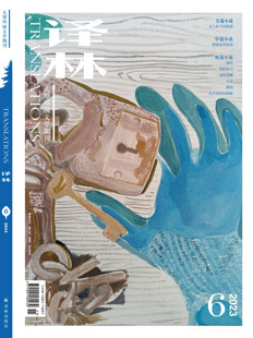 2023年《译林》杂志第6期 译林出版社 大型外国文学期刊为读者“打开窗口 了解世界”译林杂志畅销杂志书籍正版学生推荐阅读图书