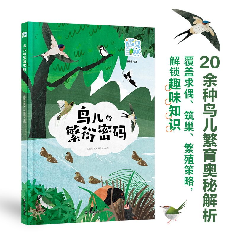 鸟儿的繁衍密码 探秘鸟类繁衍 遇见自然系列涵盖20余种鸟类求偶筑巢等策略 插画兼具艺术性科学性传递生态保护意识 译林出版社正版