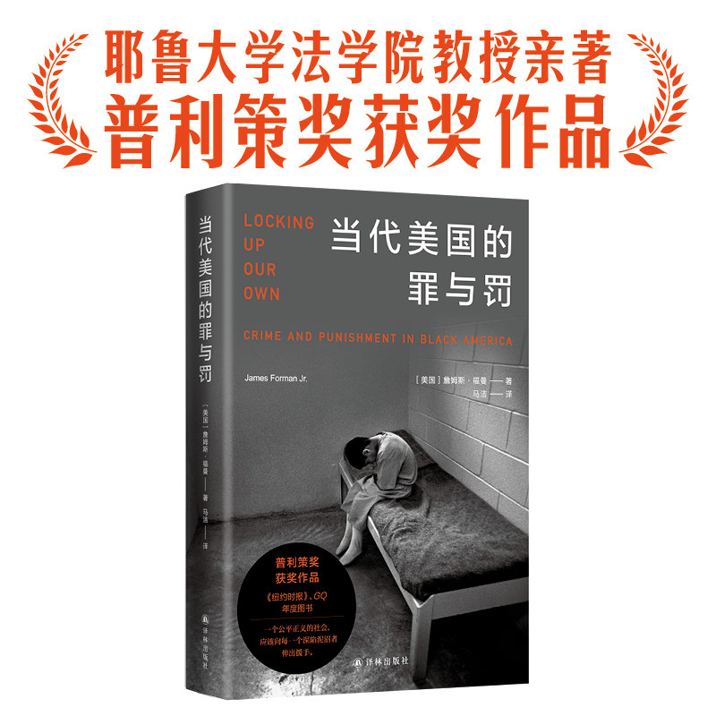 当代美国的罪与罚译林出版社小说图片