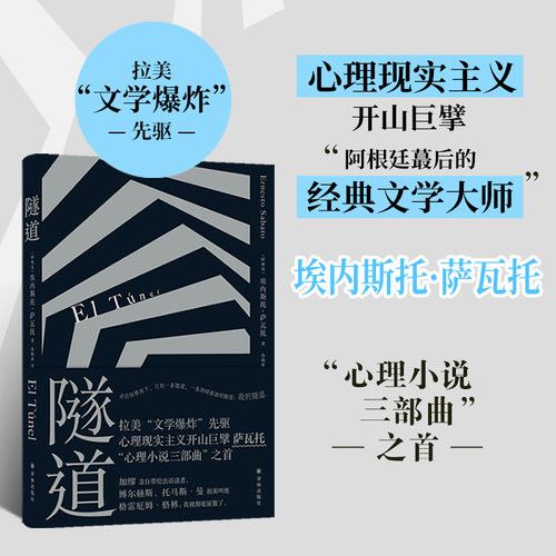 隧道译林出版社长篇小说正版