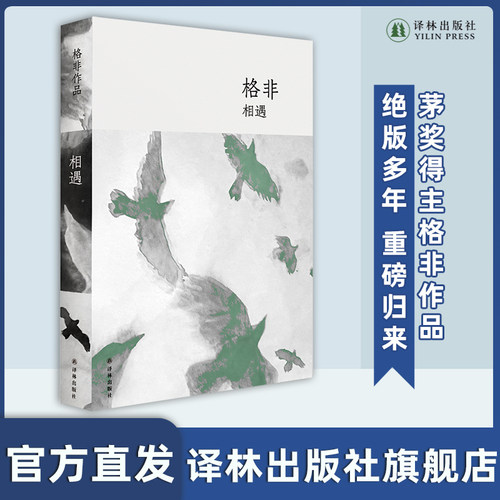 相遇格非作品译林出版社