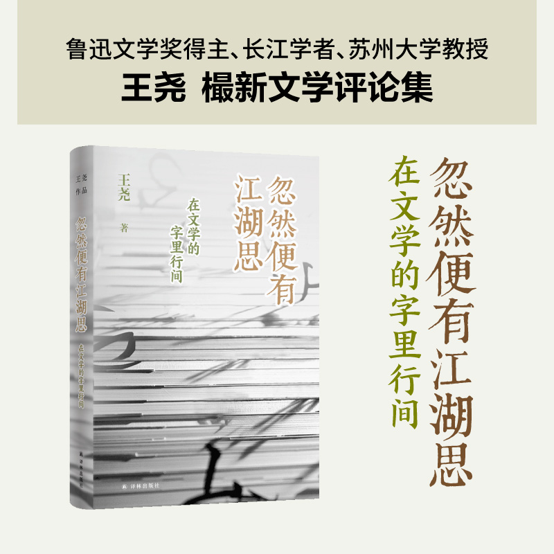 忽然便有江湖思：在文学的字里行间 鲁迅文学奖得主长江学者苏州大学教授王尧樶新文学评论集  吴义勤毕飞宇等名家推荐小说散文