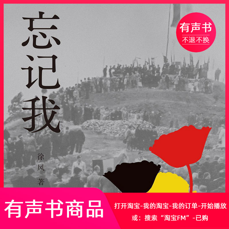 忘记我 徐风著 （电子有声书）译林出版社官方出品