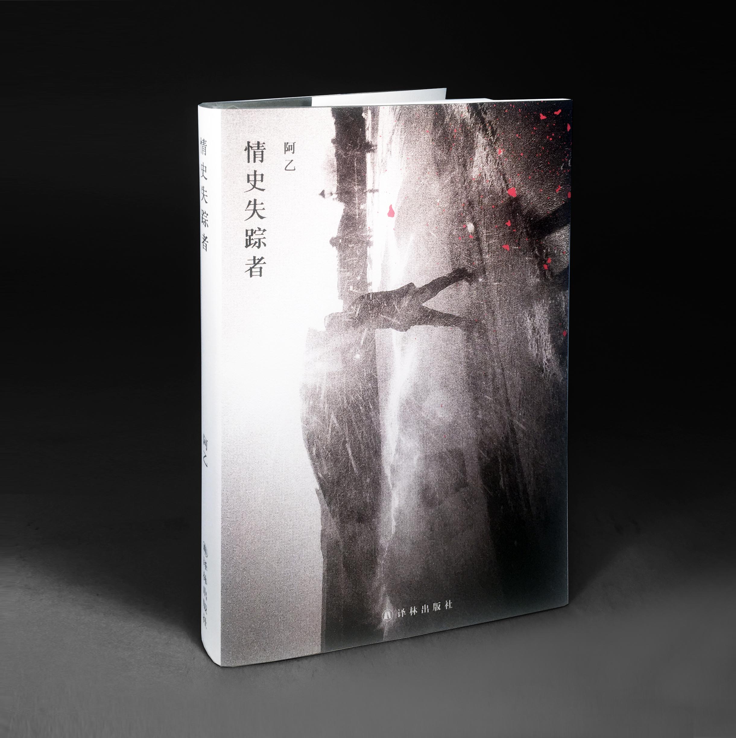 情史失踪者阿乙作品译林出版社