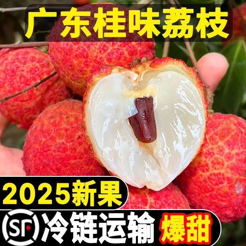 一件代发顺丰产地直发广东桂味荔礼品盒