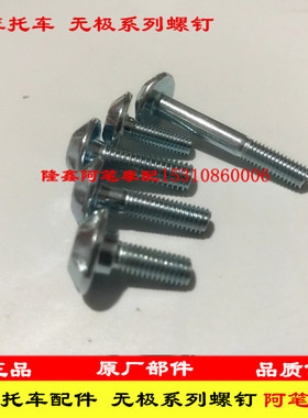 隆鑫配件LX300-6A LX175GS-TD无极180R LX300GS-B 无极300RR螺钉