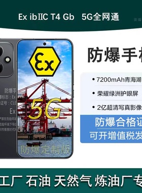 honor/荣耀400Pro防爆手机化工石油天然气制药NFC巡检2亿像素北斗