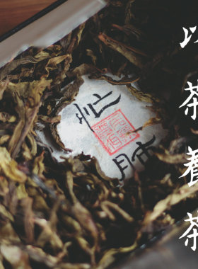 茶叶伴手礼小礼盒·茶养2021年忙肺茶100克砖+冰岛黄片150克