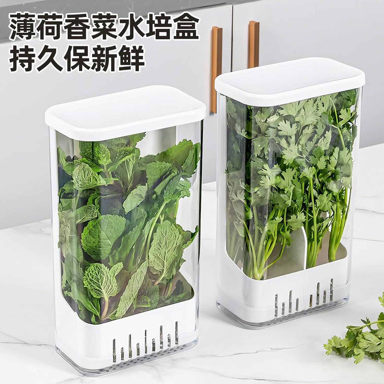 薄荷香菜水培盒厨房小葱大蒜水养保鲜盒子冰箱食物保鲜收纳盒神器