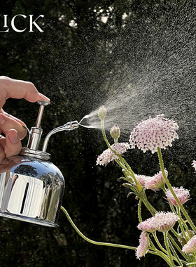 click英国怀旧经典款黄铜喷雾浇水壶300ml迷你洒水壶轻奢园艺家居