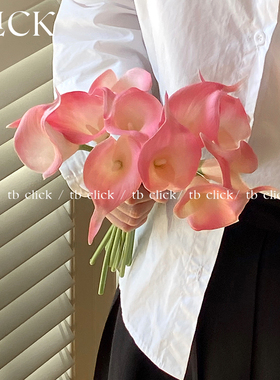 click马蹄莲高仿真花假花 家居样板间服装店商用空间装饰拍照道具