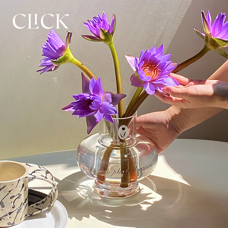 click法式水晶玻璃扁圆插花瓶