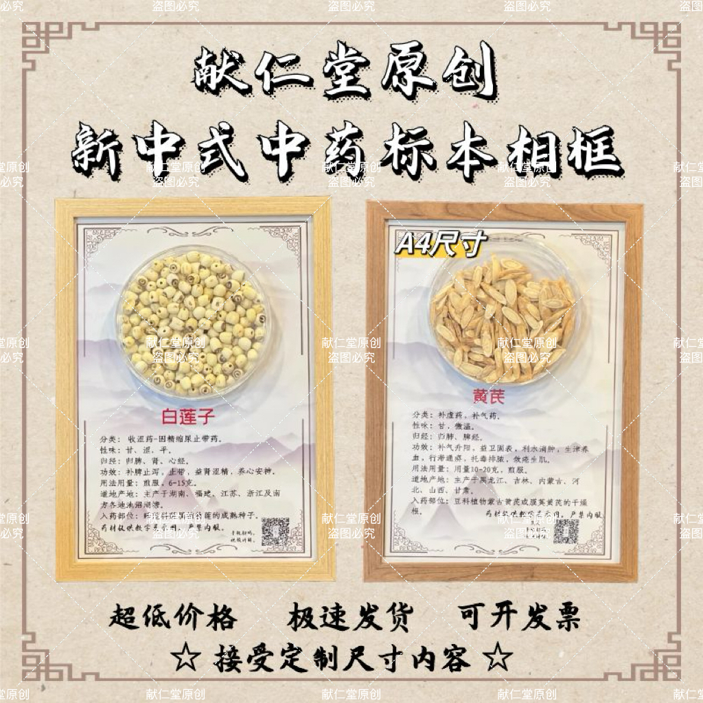 中药标本教学展馆标本相框中药材装饰画文化墙标本挂画中药装饰品