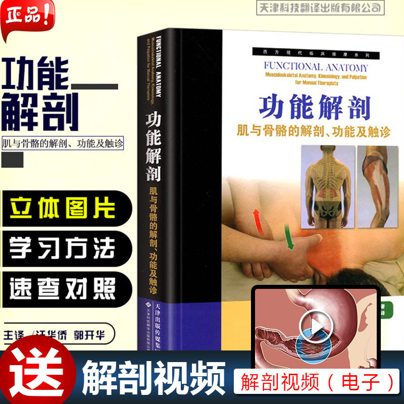 3正版 功能解剖肌与骨骼的解剖 功能及触诊 西方现代临床按摩系列 临床骨科医学参考工具书 天津科技翻译出版有限公司9787543331822