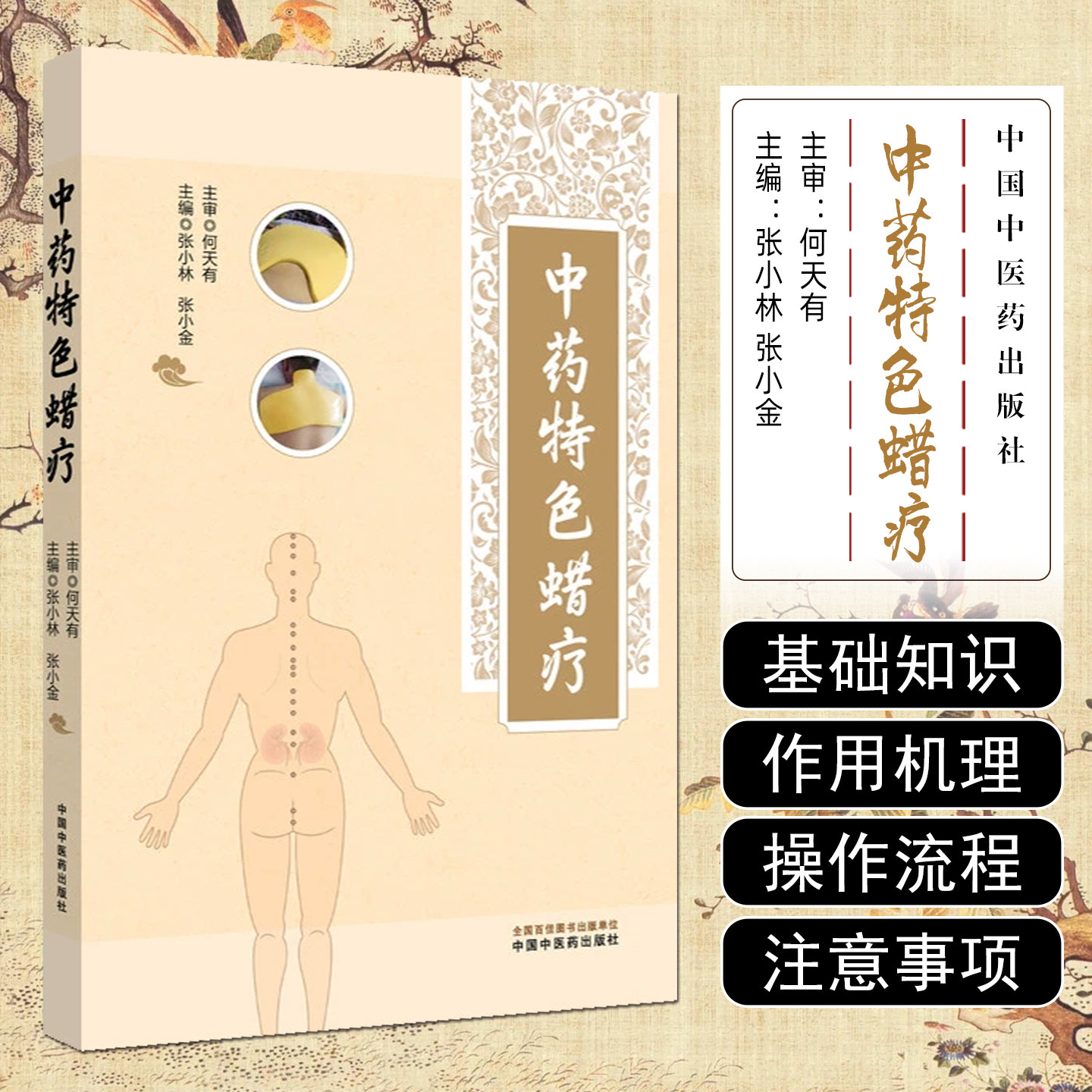 中药特色蜡疗中国中医药出版社9787513294645