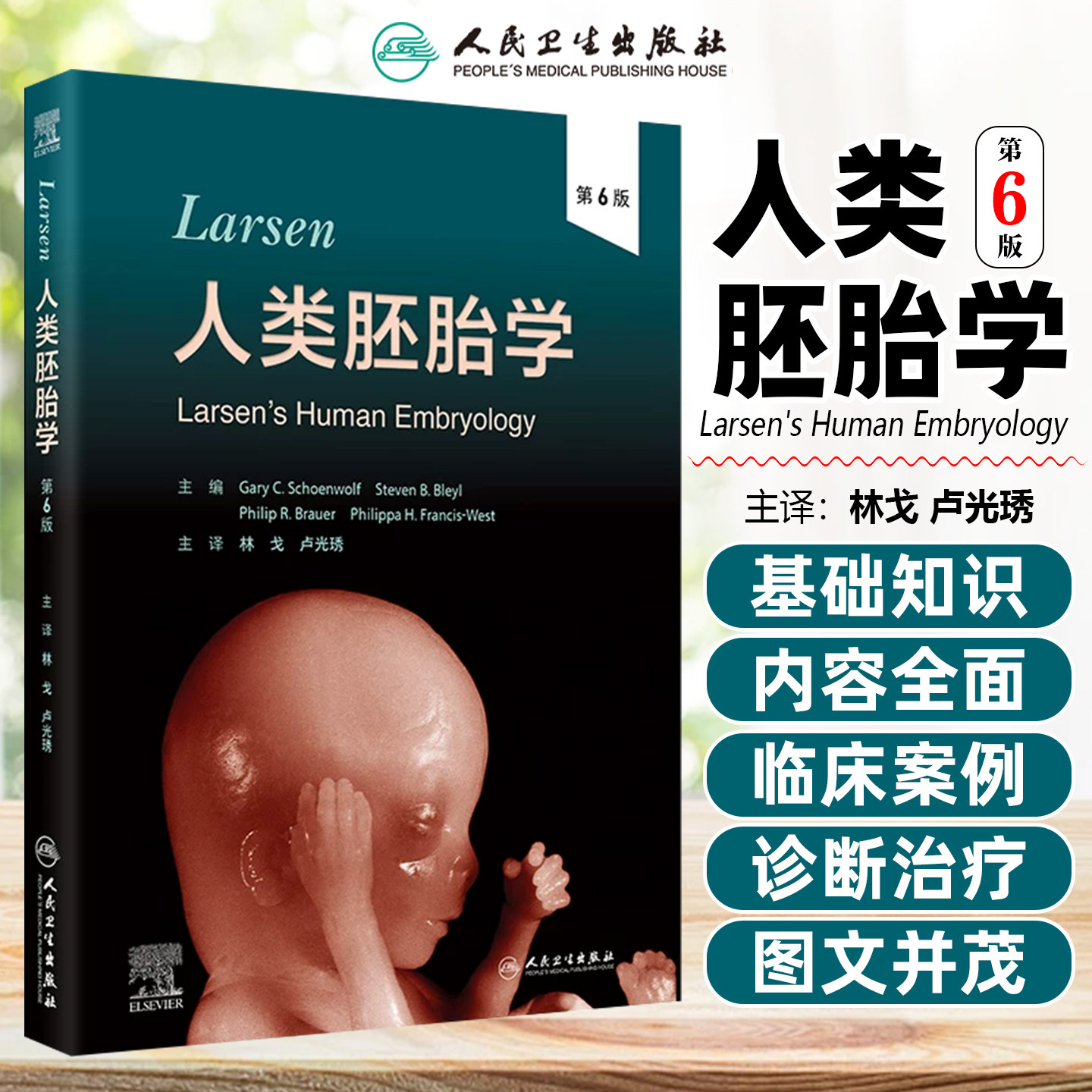 Larsen人类胚胎学第6版林戈卢光琇临床解剖学组织学发育机制生殖医学遗传干细胞经典教材先天畸形学基础医学专著人民卫生出版社