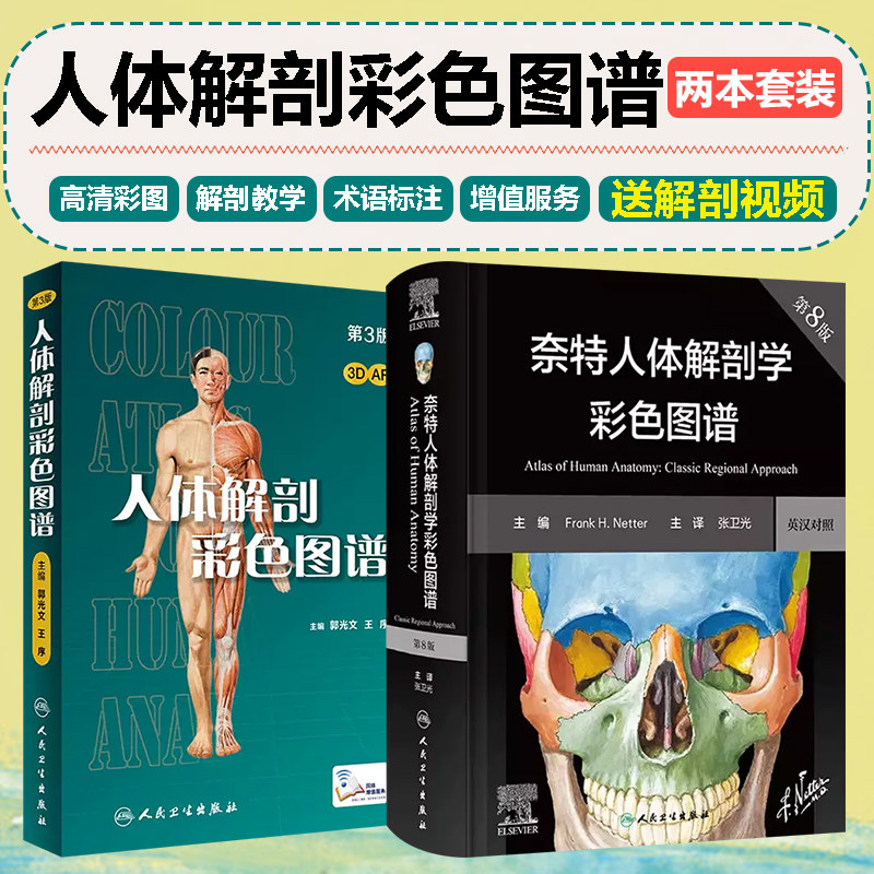 正版2册 奈特人体解剖学彩色图谱第八版8版 人体解剖彩色学图谱第3版  人民卫生出版社 9787117350440