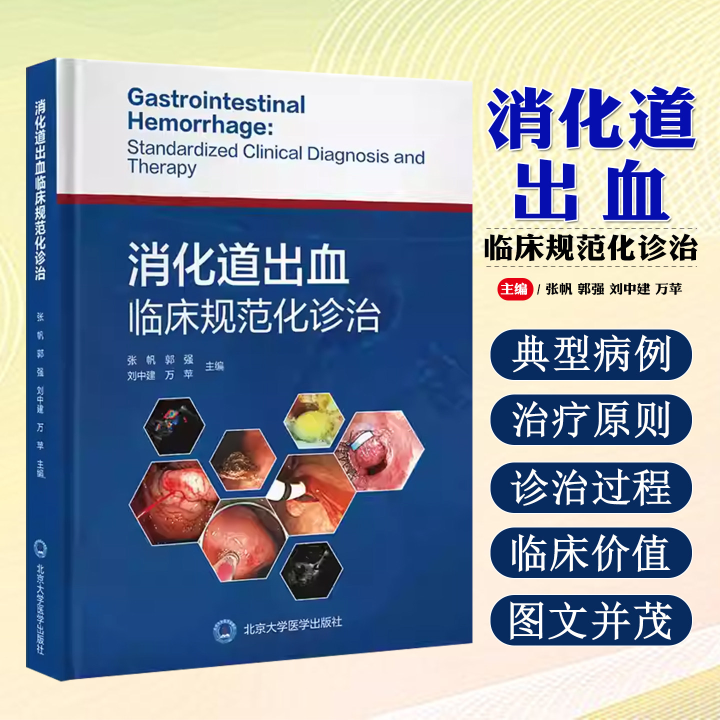 消化道出血临床规范化诊治北京大学医学出版社9787565933042