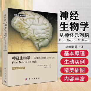 神经生物学 从神经元到脑 杨雄里等译 科学出版社9787030415349