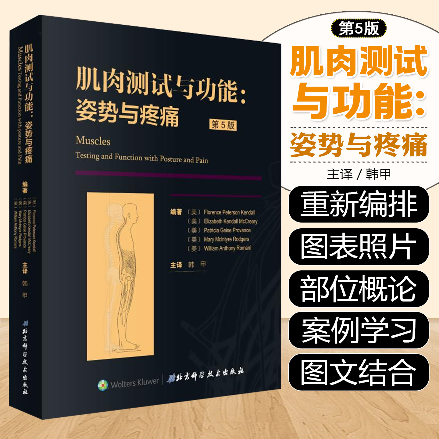 正版 肌肉测试与功能姿势与疼痛第5版 第五版 主译韩甲 按摩健身热身锻炼参考工具书籍 北京科学技术出版社 9787571400354