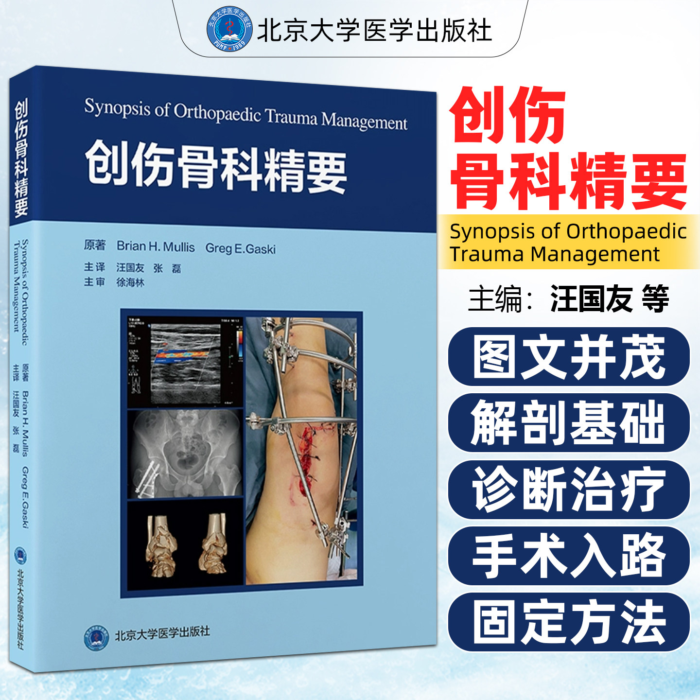 创伤骨科精要 北京大学医学出版社9787565933448