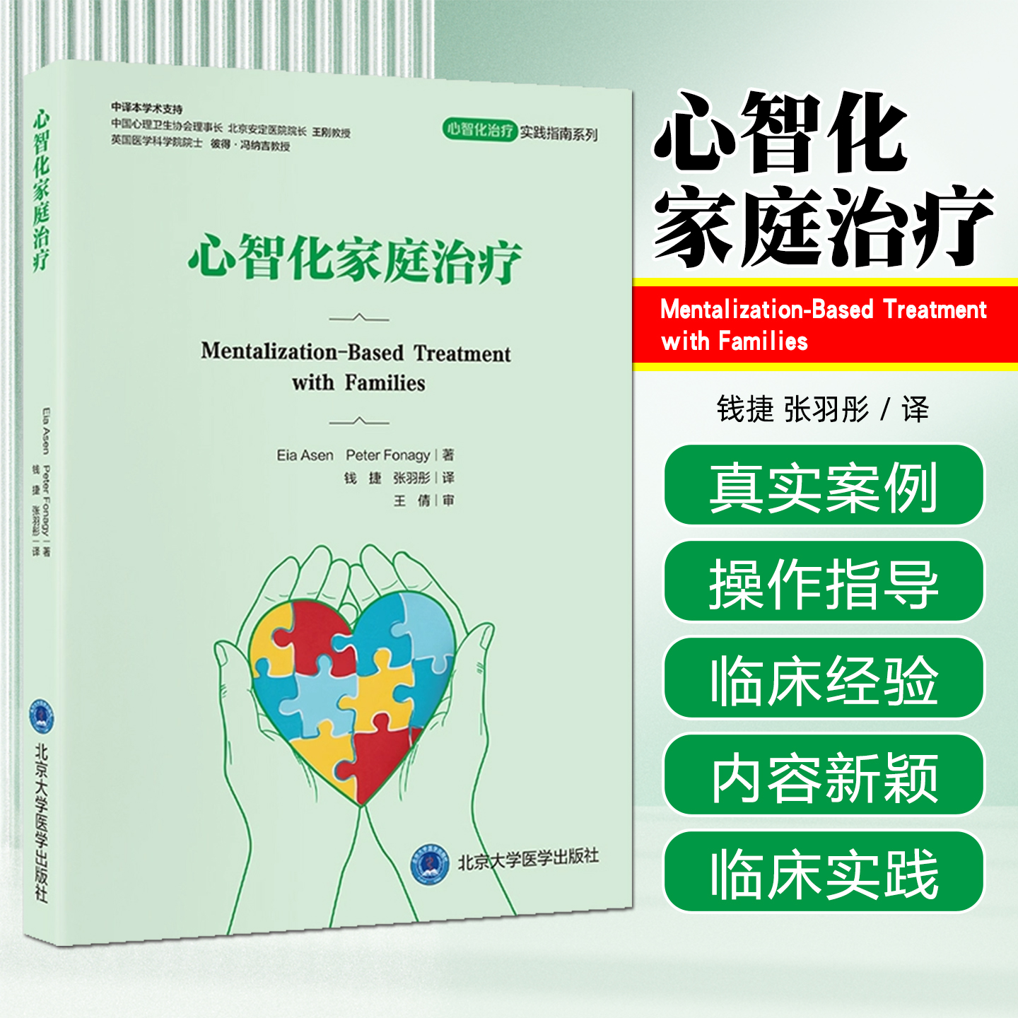心智化治疗实践指南系列心智化家庭治疗北京大学医学出版社9787565933134