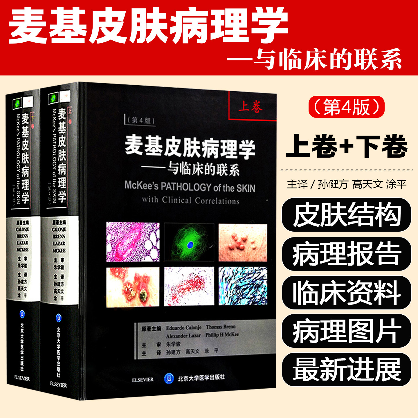正版 麦基皮肤病理学 上下册 临床的联系第四版第4版 朱学骏孙建方 皮肤科医学书书籍大全 北京大学医学出版社9787565915703