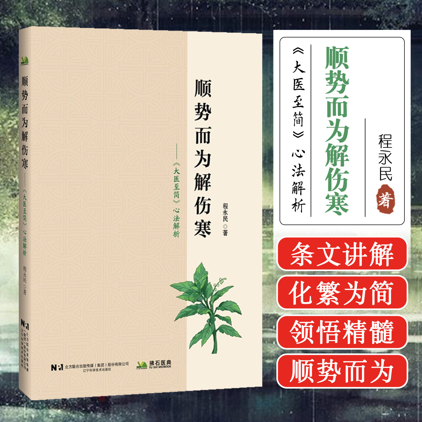 顺势而为解伤寒 《大医至简》心法解析 辽宁科学技术出版社9787559140906