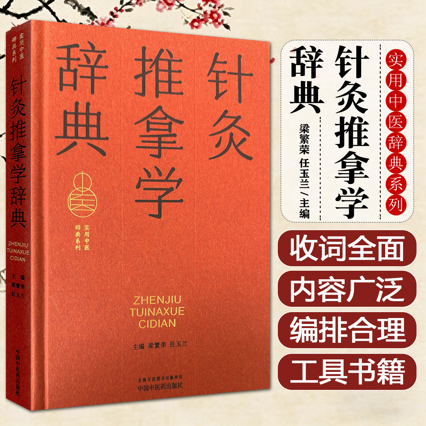 针灸推拿学辞典 实用中医辞典系列 任玉兰梁繁荣中国中医药出版社9787513294539